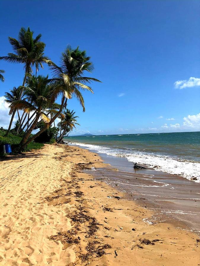 Mariposa Beach House Humacao Luaran gambar
